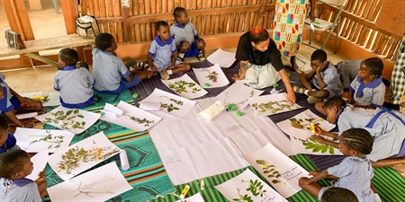 Event: Understanding Plants - Botany and Herbarium Practice