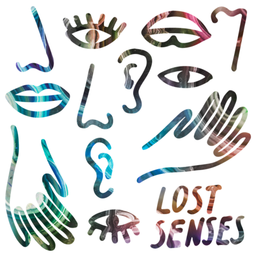 LOST SENSES